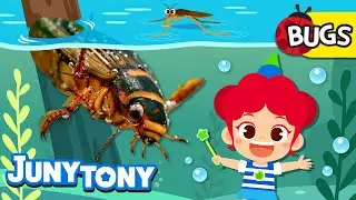 Aquatic Bugs | Cutie-crawly Friends! | 🐛Bug Song | Insect Songs for Kids | JunyTony