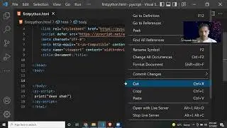 PYTHON IN HTML PYSCRIPT