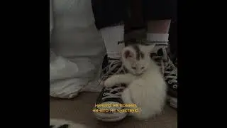 Выпей меня до тла