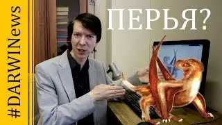 У птерозавров тоже были перья! 