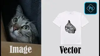 Convert Image To Vector In Illustrator - Photoshop