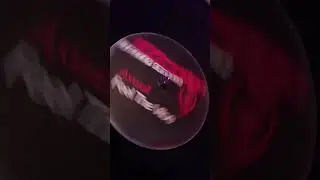 Playing old vinyl records: Axwell - Feed The Vibe