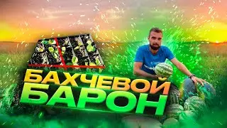 Инструкция посадки бахчевых в грунт: Арбузы и Дыни Гарантированы!