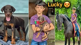 Aaj hamare chote DOG ka name lucky rakh diya 😍