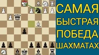 ГАРАНТИРОВАННАЯ ПОБЕДА В НАЧАЛЕ ПАРТИИ С ЭТОЙ ЛОВУШКОЙ. Шахматы Ловушки. Шахматы Обучение. Шахматы