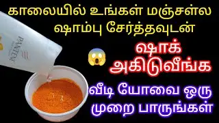 காலையில் உங்கள் மஞ்சள் ஷாம்பு சேர்த்தவுடன்ஷாக் அகிடுவீங்க/kitchentips tamil@keerthisaratips5728