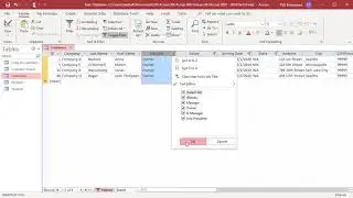 How to Filter Data by Selection in MS Access - Office 365