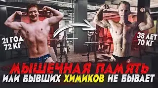 Мышечная память или бывших химиков не бывает