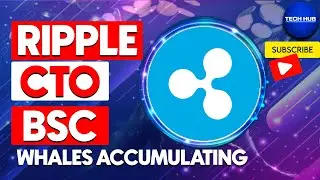 Ripple CTO BSC Whales accumulating | Ripple News Today