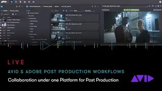 WEBINAR | Avid and Adobe Post Production Workflow