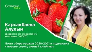 Земляника VERY BERRY в Казахстане | Опыт выращивания | Советы | Сроки | Пленка | Продажи