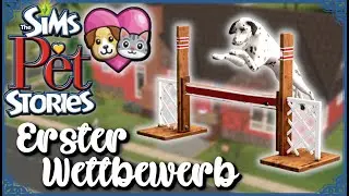 Der erste Hunde-Wettkampf für Sam 🐶 Die Sims 2 - Tiergeschichten - Alice #03