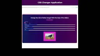 Day 2 Project : CSS Changer Application #webproject #codeproject #shorts