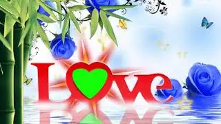 Wedding Love Green Screen Chroma Key VFX (20) - Copyright FREE Video