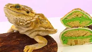 I Ate My Beardie! (Listing Each Decade's Most Popular Pets)