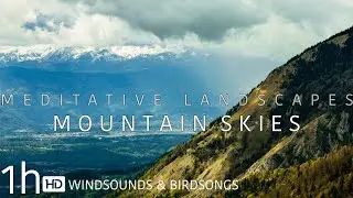 Meditative Landscapes: Mountain Skies 1 hour Relaxing wind sounds & birdsongs, Sleephelp, Meditation