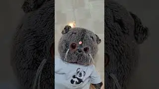 #скалярик