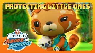 Octonauts: Above & Beyond -  🦸 Always Protect the Little Guy 🐥 | Compilation | @Octonauts​