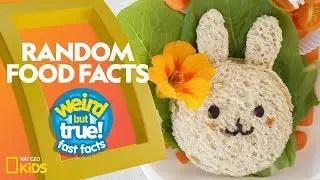 Random Food Facts | Weird But True!—Fast Facts