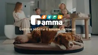 Gamma заботы о вашем питомце!