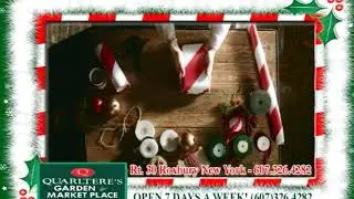 Qualtere's  Nursery - Roxbury NY Christmas 2020 New TV Ad