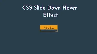 CSS Button Hover Slide Down Effect | Animated Sliding Hover Effect | Pure HTML CSS