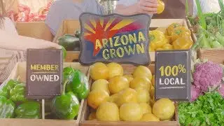 Commercial Video Production Company | Arizona Federal Credit Union