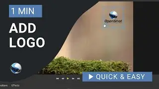 OpenShot Video Editor Tutorial: Add Logo in OpenShot