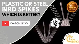 What’s the difference between plastic and steel bird spikes?