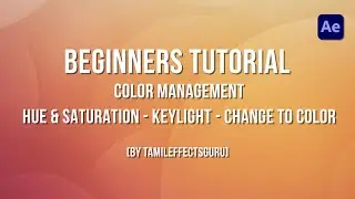 After Effects Beginner Color Management(Tamil) - Part 12