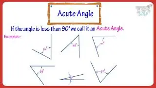 Types of Angles & Their Names | Math | Grade 5 | TutWay