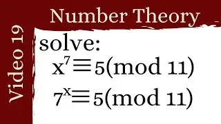 Applications of primitive roots -- Number Theory 19