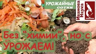 Без синтетики, без химии и без позора! Азот, фосфор и калий  - можно найти даже на кухне!