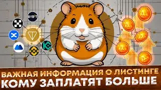 🔥 Hamster Kombat | АКТУАЛЬНАЯ ИНФОРМАЦИЯ О ЛИСТИНГЕ. Кому заплатят больше? На каких биржах?