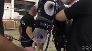 DIGIC Pictures - Horse Mocap making of video