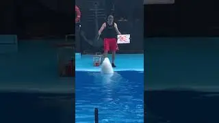 Кит художник)))