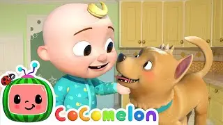 Pet Care Song (Bingos Version) | CoComelon Animal Time | Animals for Kids