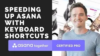 Speeding up Asana with keyboard shortcuts