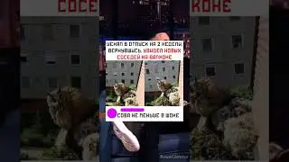 кто узнал себя?