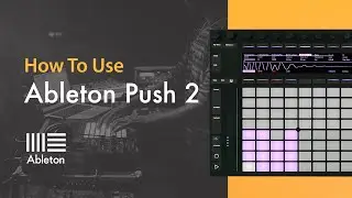 How To Use Ableton Push 2 with P-LASK - Sequencing Drum Parts