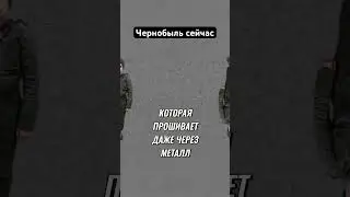 Чернобыль 2024 год #чернобыль