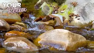 Sounds of a gentle stream. 3 hours of video in 4K for sleep, relaxation and stress relief.