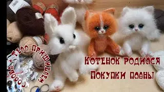 Котенок родился Рыжик //Покупки пряжи //ПЛАНЫ //по просьбам сшиваем голову и тело