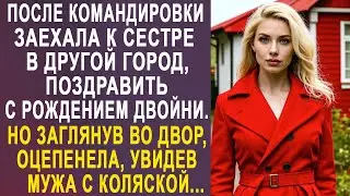 После командировки заехала к сестре, поздравить с двойней. Но увидев своего мужа с коляской...