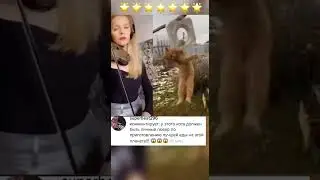 У этого кота должен быть личный повар👨‍🍳 по приготовлению лучшей еды на этой планете. Есть желающие?