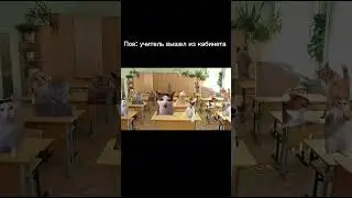 Пов:учитель вышел из класса #meme #рекомендации #кот #мем #а4 #приколы