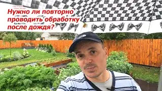 Обработали растения по листу и пошёл дождь- нужно ли повторять обработку?