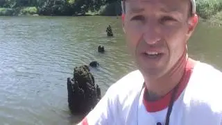 Paddleboarding at the 1916 Matawan shark attack site