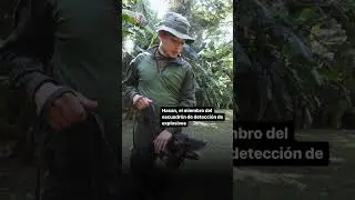 Salvando vidas: los binomios de la Policía de Colombia