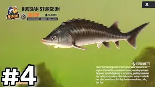 I Caught A Russian Sturgeon! Fishing Master Gameplay Ep4